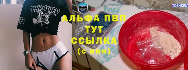 хмурый Бикин