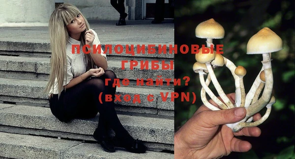 крисы Горнозаводск