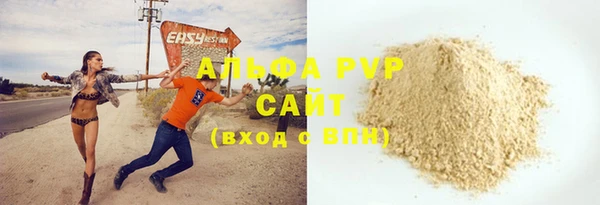 индика Гусев