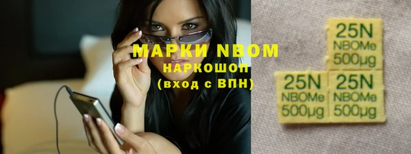 хмурый Бикин
