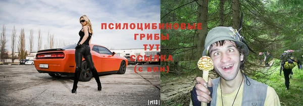 дживик Горно-Алтайск