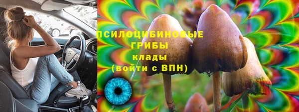 скорость Гусь-Хрустальный