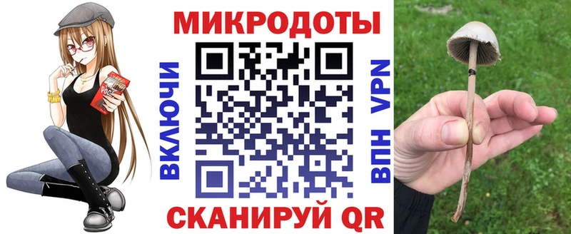 где найти   Дятьково  Галлюциногенные грибы прущие грибы 