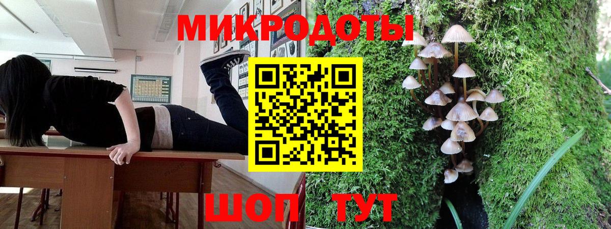 Галлюциногенные грибы MAGIC MUSHROOMS  Вход с VPN  Дятьково 